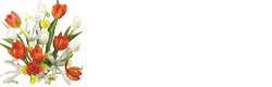 63cb23fcb946c44b0dc1d91f66024b4a.gif