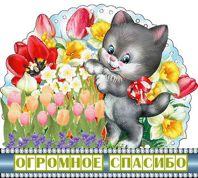 1fb9b01c5c41221880db2aa182eec84f.gif