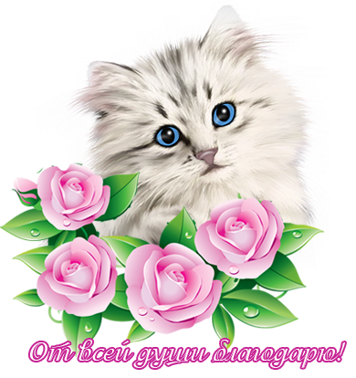 fc619b7f2b83077f9a531f0939166d0f.png