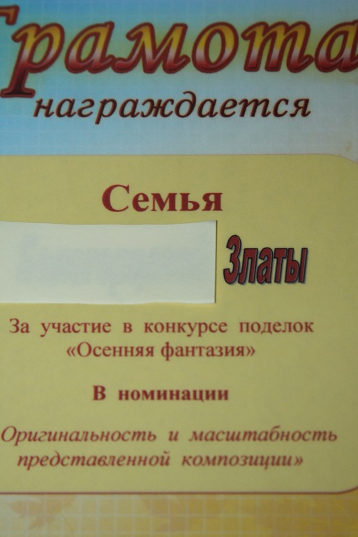 Оценка жюри)))))