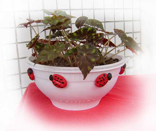 Необыкновенные горшочки