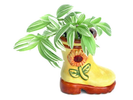 Необыкновенные горшочки