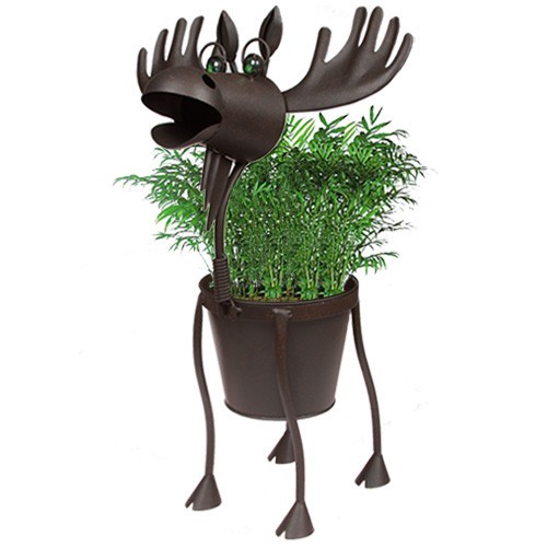 Необыкновенные горшочки