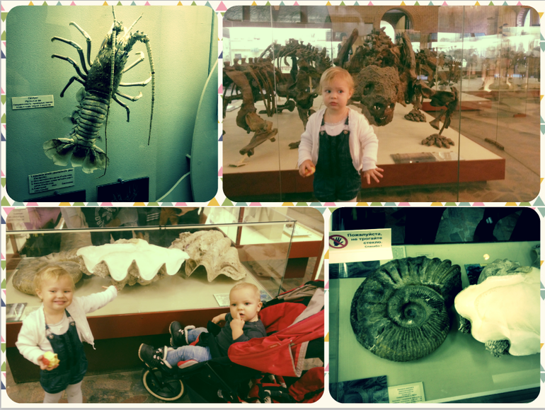 Палеонтологический музей.