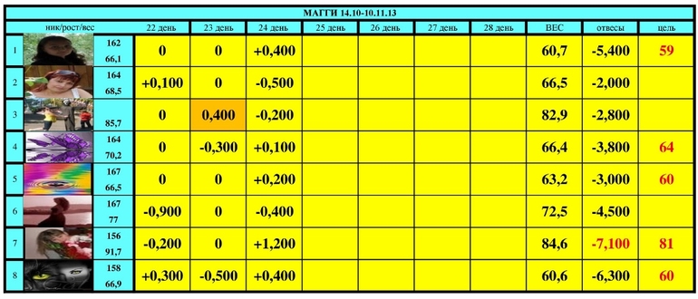 МАГГИ старт 14.10-10.11.13 (26 день)