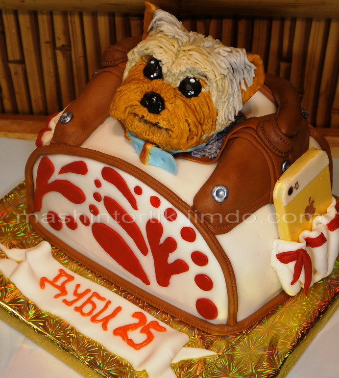 Йорк и айфон 5S