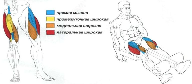4b6ae9454eb246159b3fb57742d7ed97.jpg