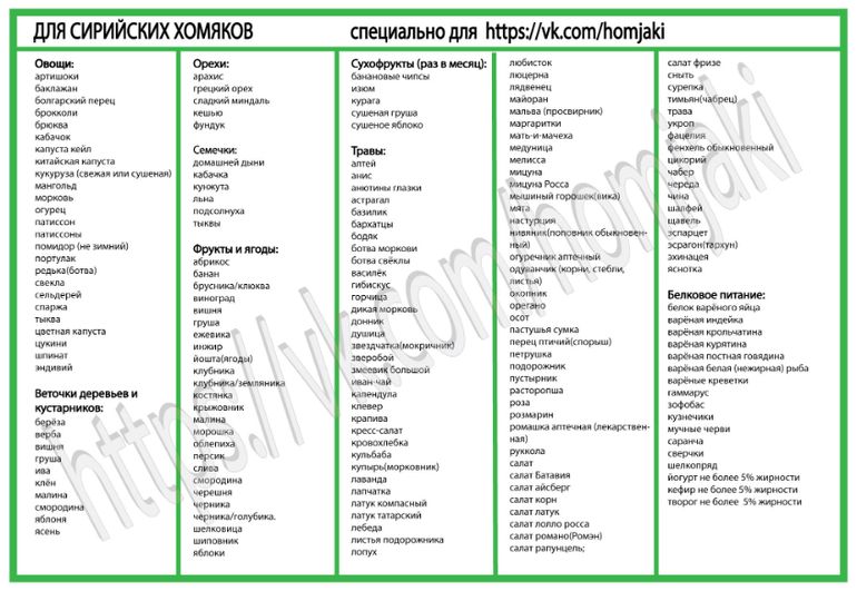 Корм для джунгарского хомяка. Рацион хомяка джунгарика. Что можно есть джунгарским. Джунгарский хомячок чем кормить. Что можно есть джунгарским.