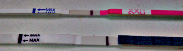ca6502285381946d5935ec6c128a5bb4.jpg
