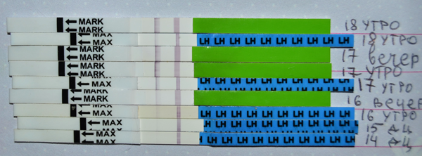 db6c9edba2d0098558161158d4d411be.png