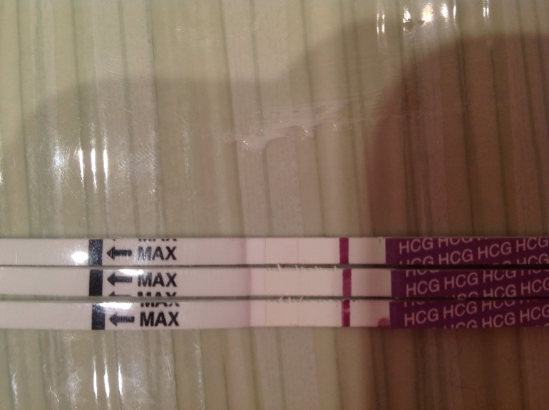 40d42a24c4ab7fe444e555be06874f47.jpg