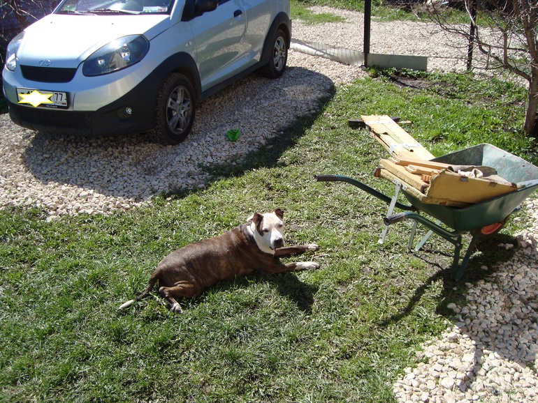 Мой мальчик)))))