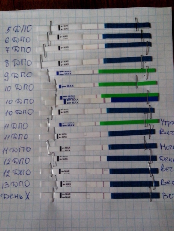 Мои тесты !!!!