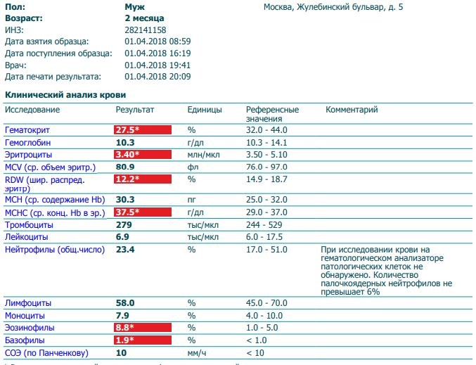  Foto 31