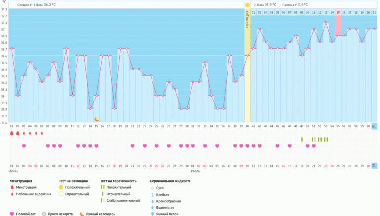 Мой график. Мой график беременный. Ура мой график беременный. БТ 36,2 при беременности. Беременность и па на графике.