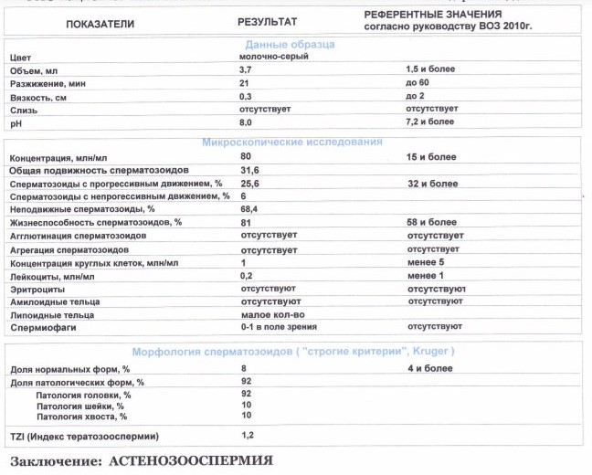 Морфология по крюгеру расшифровка. Спермограмма нормозооспермия. Морфология сперматозоидов по Крюгеру. Морфология по Крюгеру результат. Норма сперматозоидов по Крюгеру.