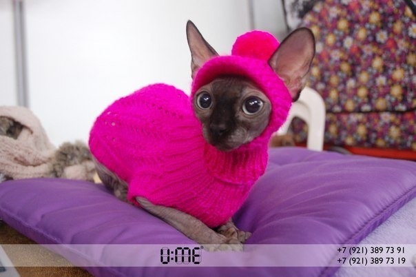 Кто возьмется? Москва