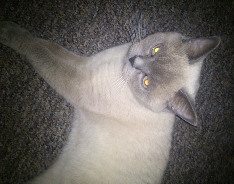 Просто фото!!!