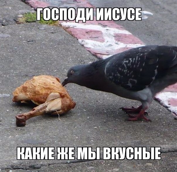 fbb19ce595ad0cf2065d6d69d50382ee.jpg