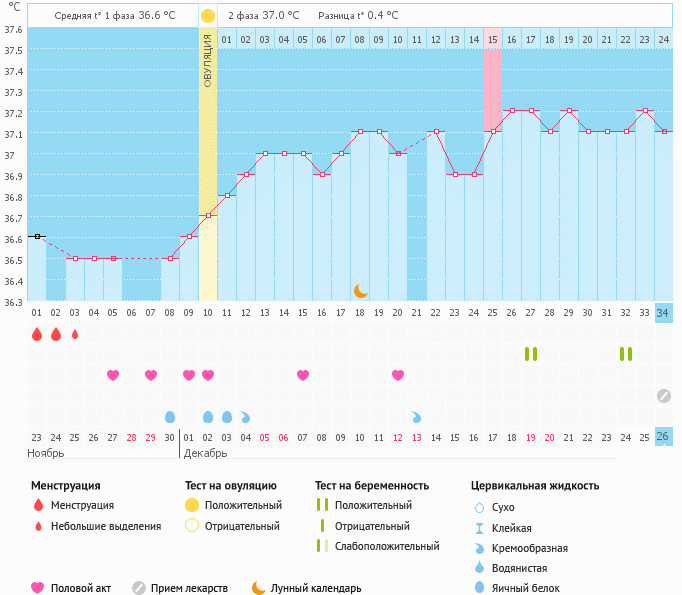Беременный график :) И что я делала, чтобы забеременеть — 40 ответов