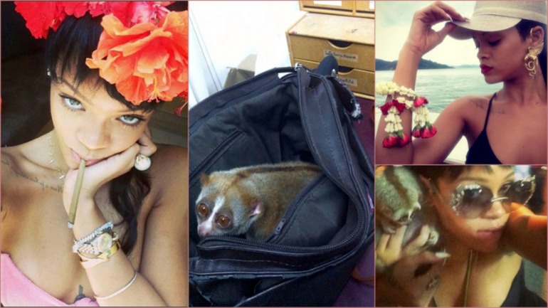 Маленький толстый Лори из Красной Книги - Рианна - Пхукет