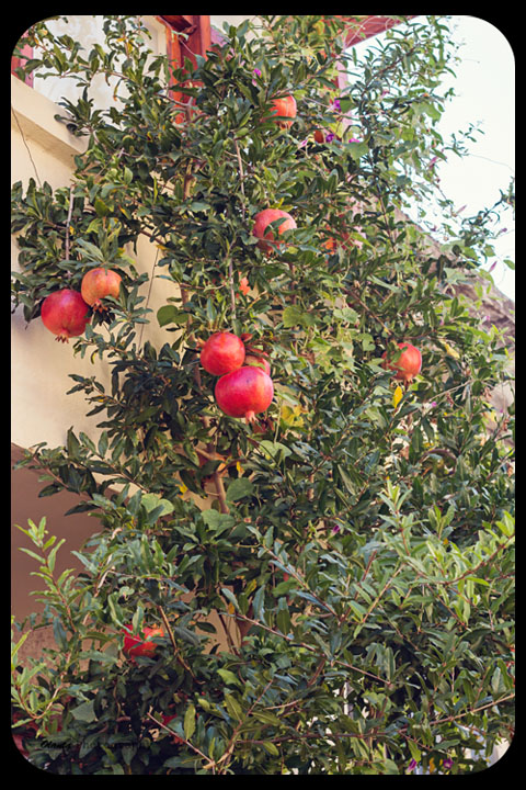 Прогулка по старому городу . Анталья