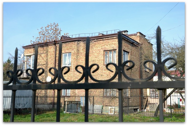 Мартышки и нога мамонта.