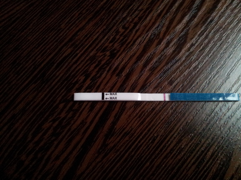 Тестомания день 4 - 10 ДПО.