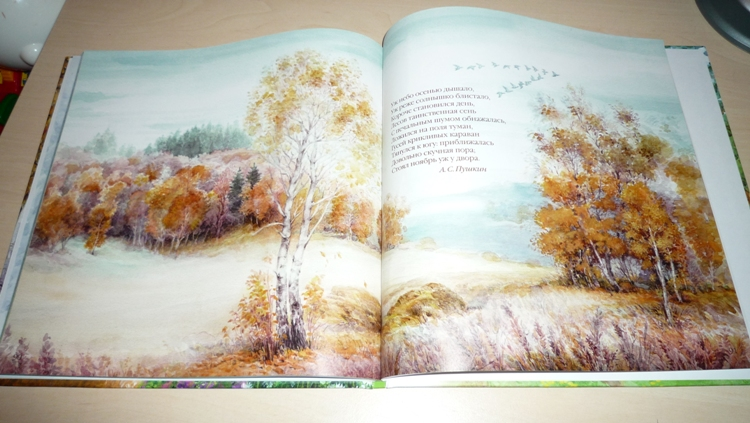 Наше книжное пополнение