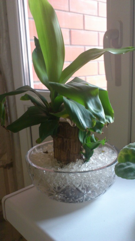 Ну и я похвастаюсь))