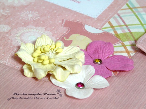 Папка для свидетельства о рождении