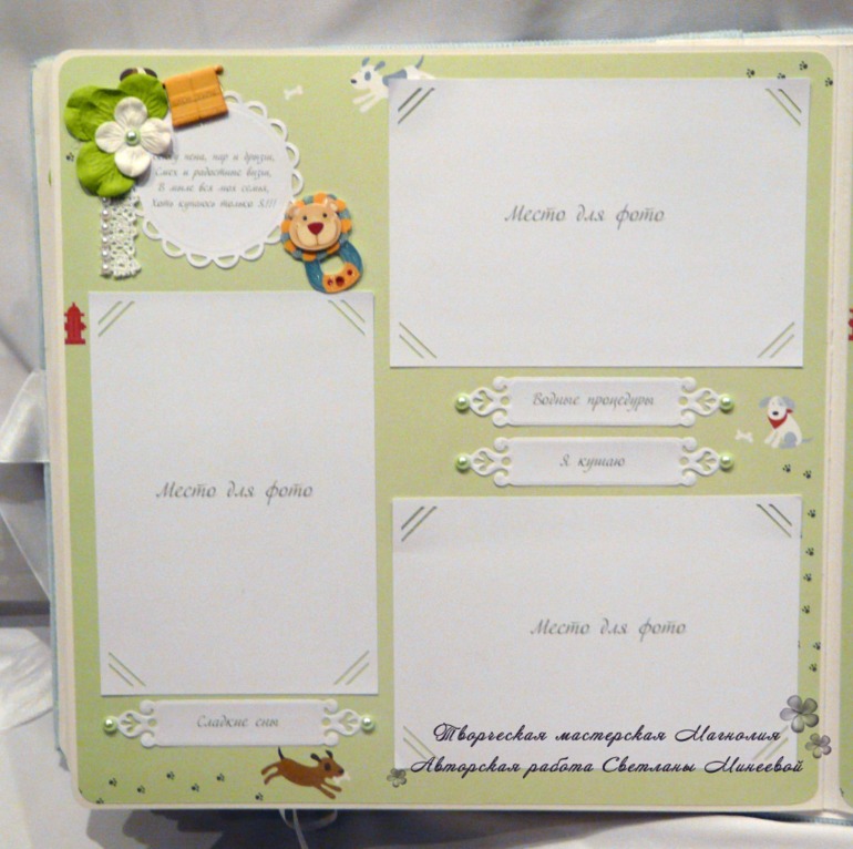 Большой фотоальбом для Матвея и папка для документов