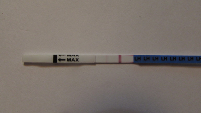 29 дц тест отрицательный. 6. Трактор беларус 3022. Центробежная дробилка дц 1. Д ц 1 1.