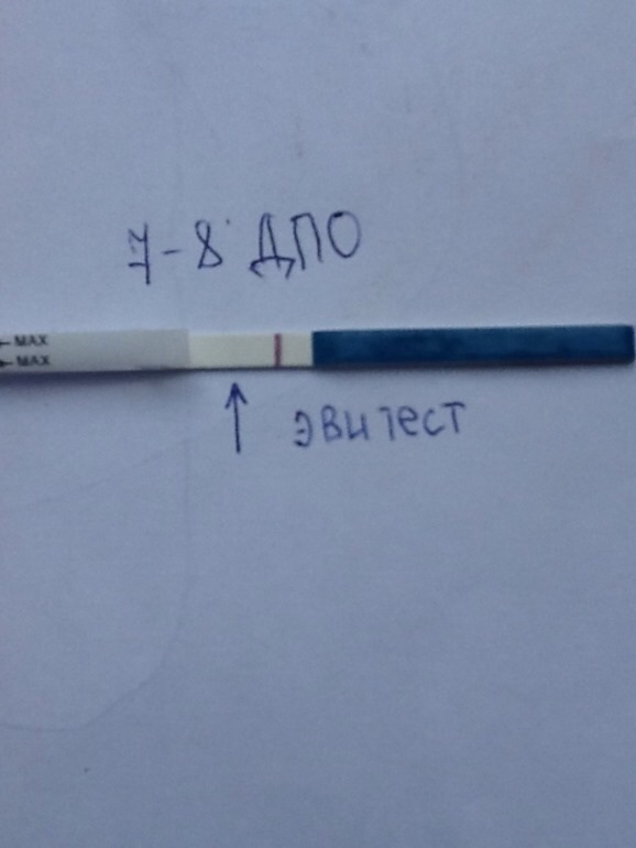 4a6d5e8540945ad443d938459546773c.jpg