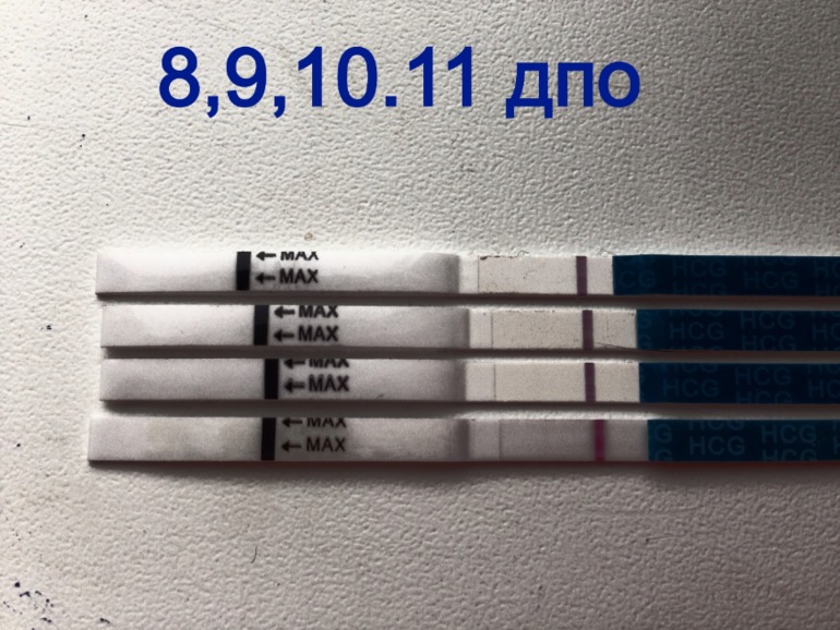31bab4b64c11dfe81854864fb7155e8e.jpg