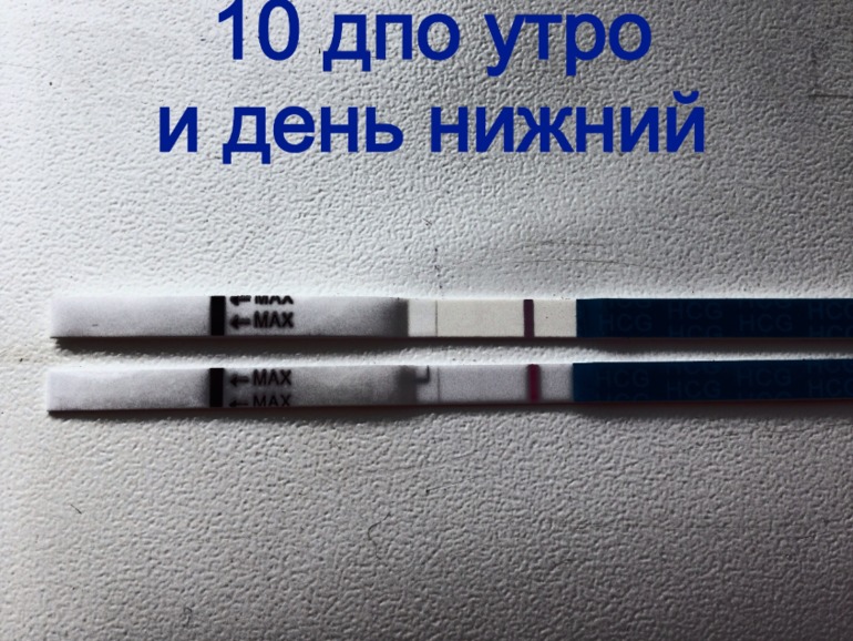 Тест день 10 дпо