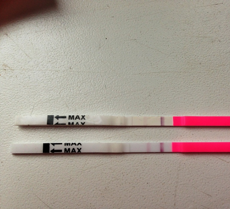 Девочки вот тематики и немного вопросов.