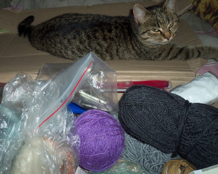 Помошничек.