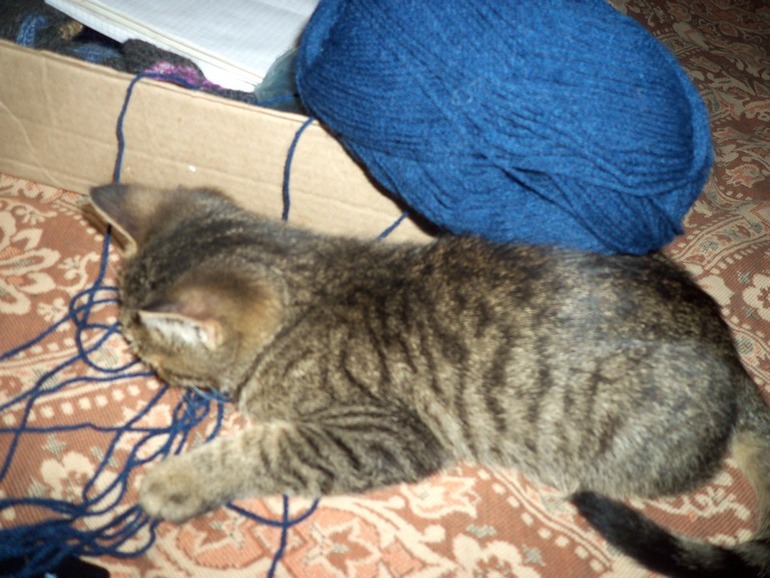 Помошничек.