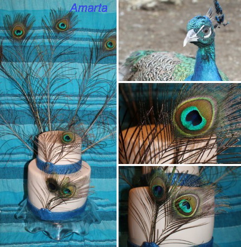 Торт с павлиньим пером