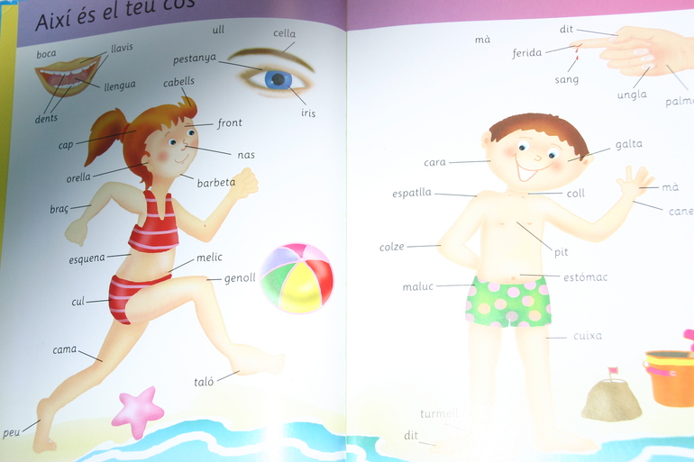 lES meves primeres 1000 paraules il lustrades.