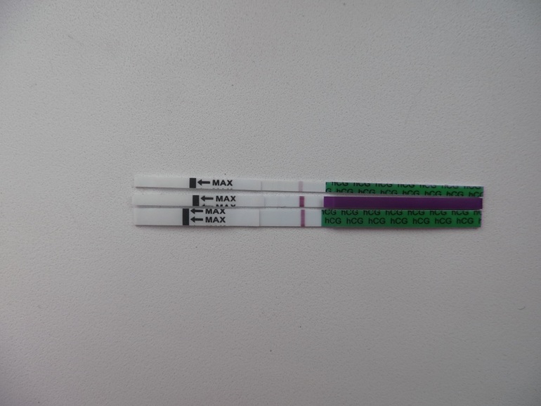 2116cbe8d0b391445469f7faab16407d.jpg