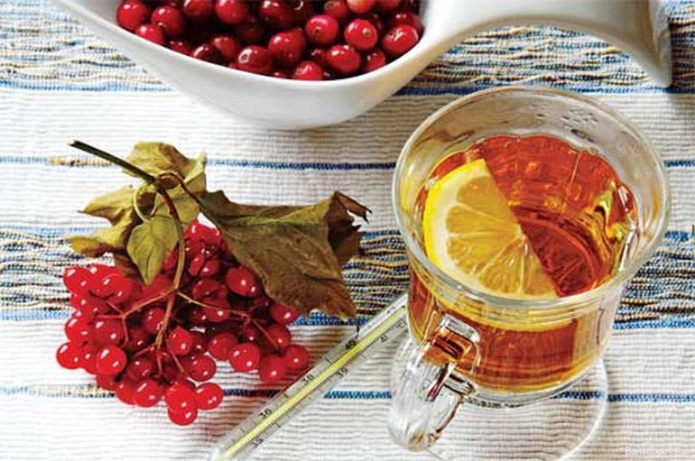Как не заболеть осенью картинки Как не заболеть осенью картинки