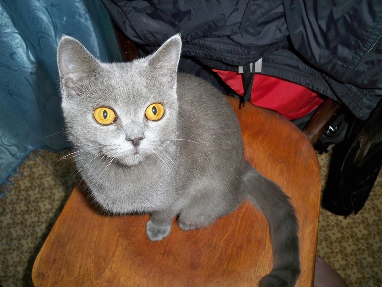 Вот и моя кривулька!