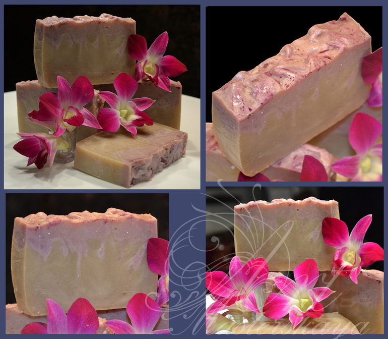 Очарование Прованса