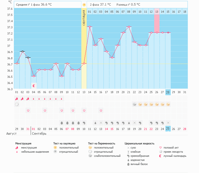 Вот он какой у меня: