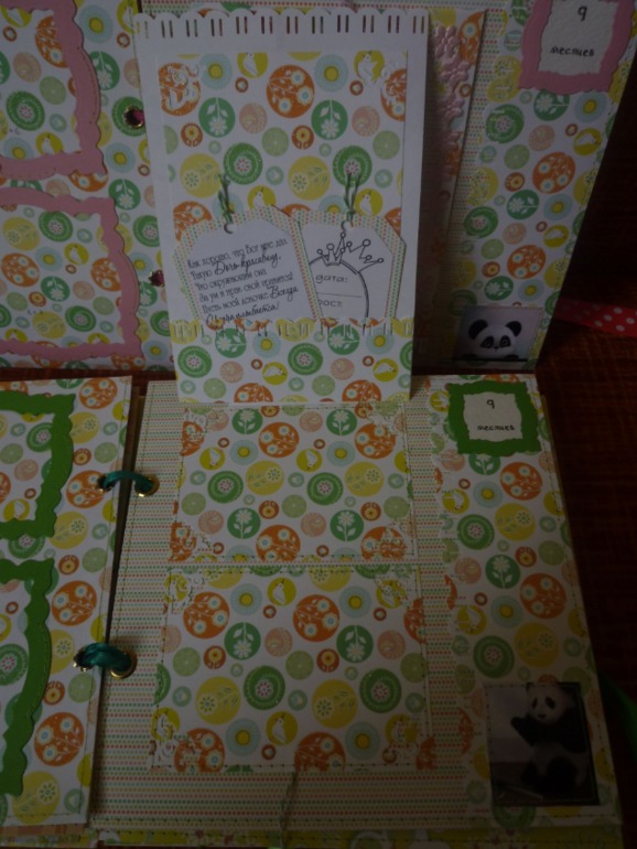 МОЕ ДЕТИЩЕ или 2 детских альбома