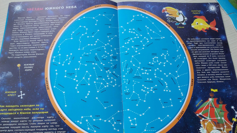 Созвездие южного полушария главная звезда факт 6. Южное полушарие звездного неба созвездия. Карта звездного неба Южного полушария с созвездиями. Созвездия Южного полушария неба. Созвездия Южного полушария карта для детей.