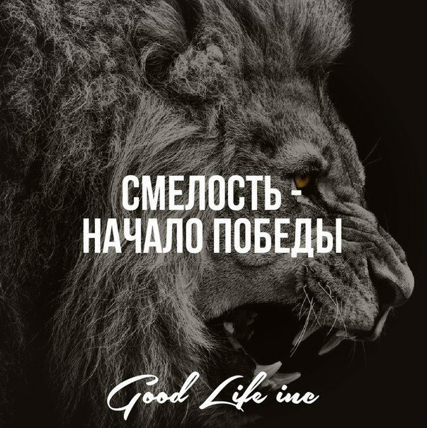 сайты быстро заработать деньги в интернете без вложений сайты быстро заработать деньги в интернете без вложений