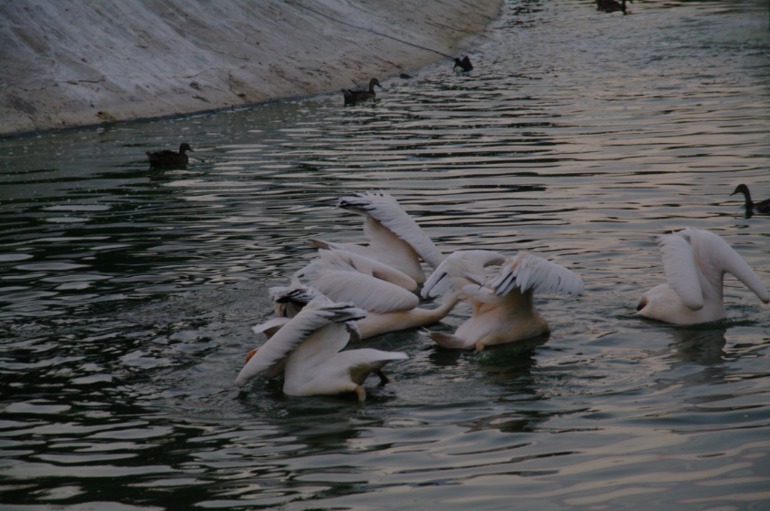 Бердянск, как и где правильно отдыхать!